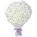 Букет из 25 белых ромашковых хризантем