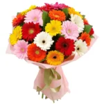 Букет из гербер «Увенчанный славой»