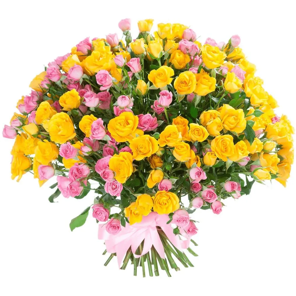 Розы кустовые микс желто-розовый
